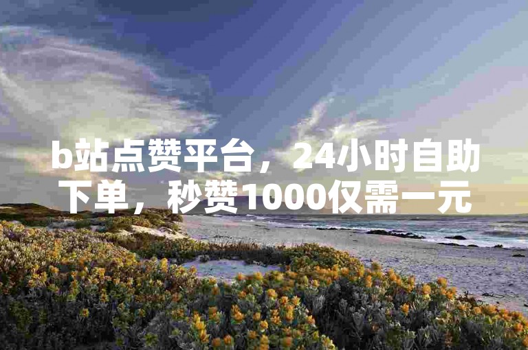 b站点赞平台，24小时自助下单，秒赞1000仅需一元。