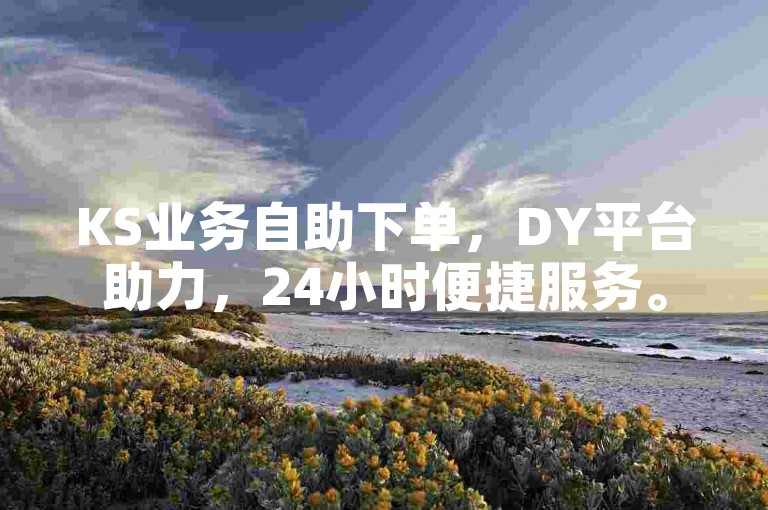 KS业务自助下单，DY平台助力，24小时便捷服务。