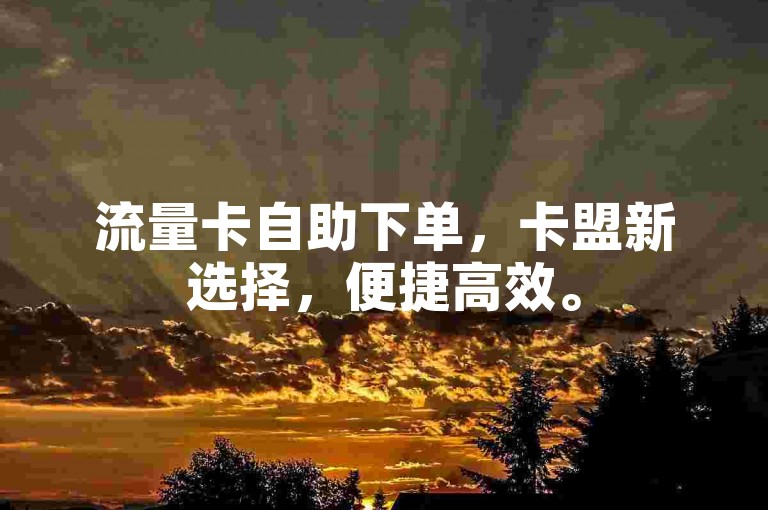 流量卡自助下单，卡盟新选择，便捷高效。