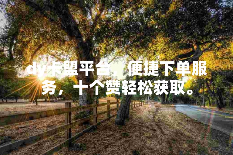 dy卡盟平台，便捷下单服务，十个赞轻松获取。