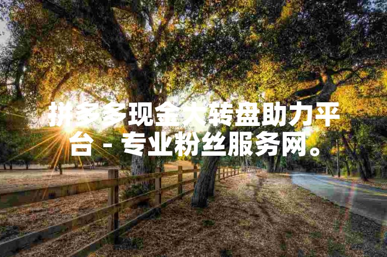 拼多多现金大转盘助力平台 - 专业粉丝服务网。