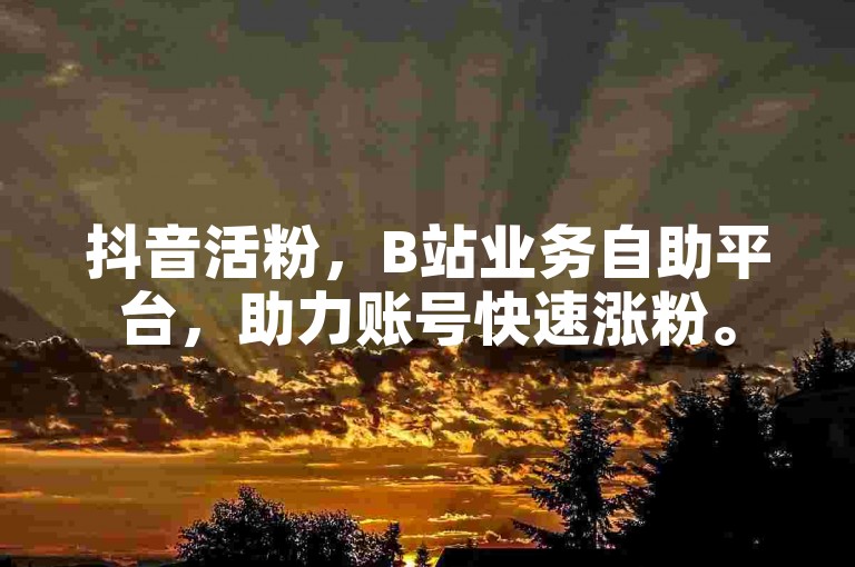 抖音活粉，B站业务自助平台，助力账号快速涨粉。