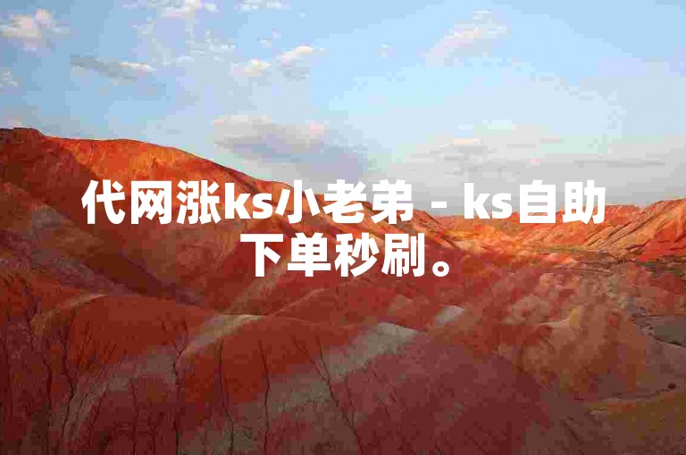 代网涨ks小老弟 - ks自助下单秒刷。