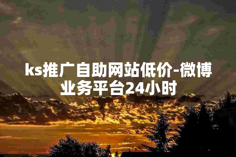 ks推广自助网站低价-微博业务平台24小时