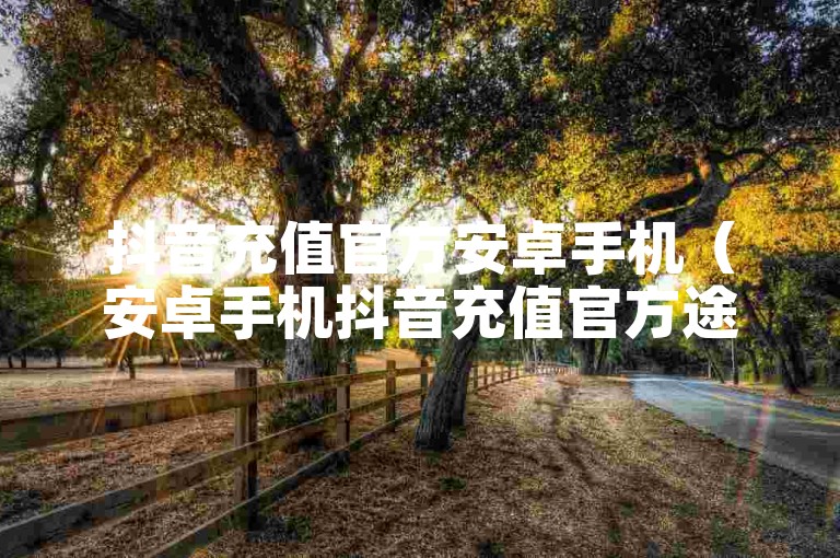 抖音充值官方安卓手机（安卓手机抖音充值官方途径）