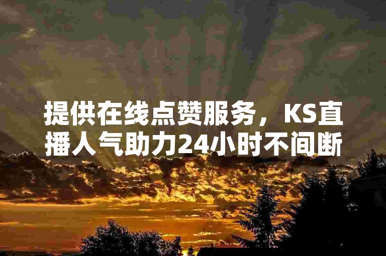 提供在线点赞服务，KS直播人气助力24小时不间断。