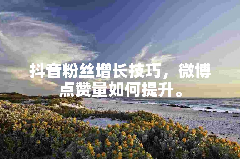 抖音粉丝增长技巧，微博点赞量如何提升。