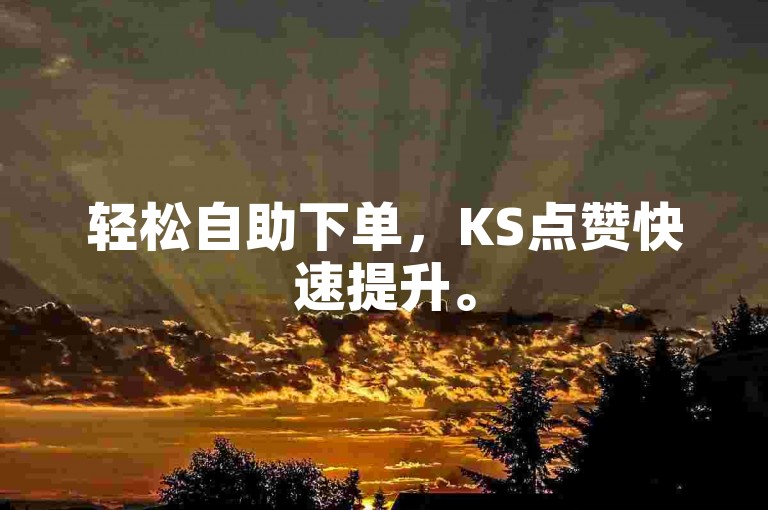 轻松自助下单，KS点赞快速提升。