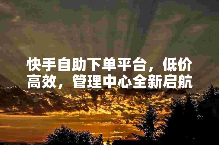 快手自助下单平台，低价高效，管理中心全新启航。