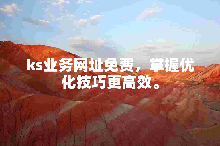 ks业务网址免费，掌握优化技巧更高效。