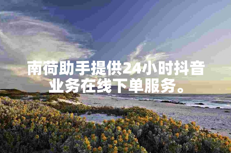 南荷助手提供24小时抖音业务在线下单服务。