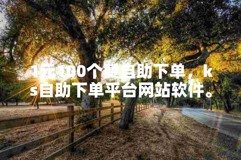 1元100个赞自助下单，ks自助下单平台网站软件。