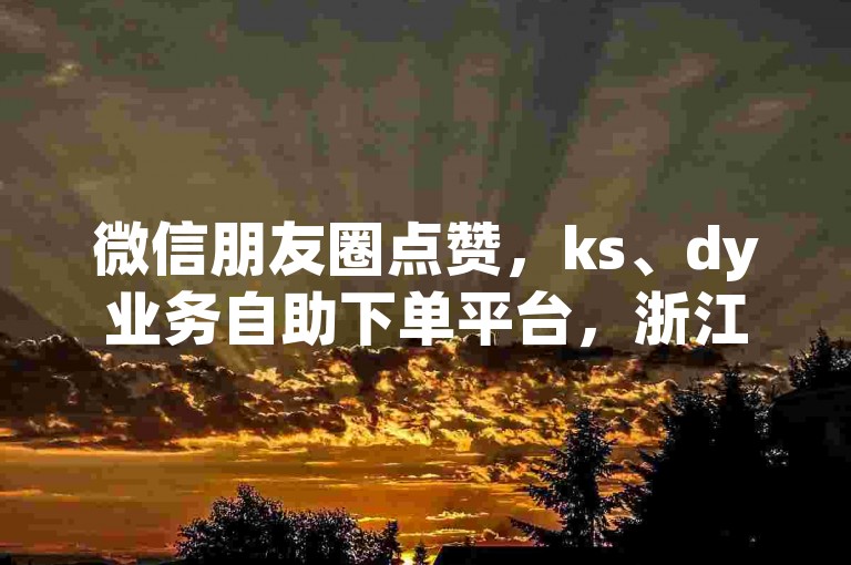 微信朋友圈点赞，ks、dy业务自助下单平台，浙江最便宜。