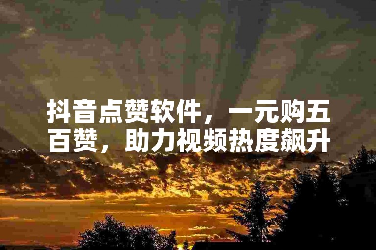 抖音点赞软件，一元购五百赞，助力视频热度飙升。