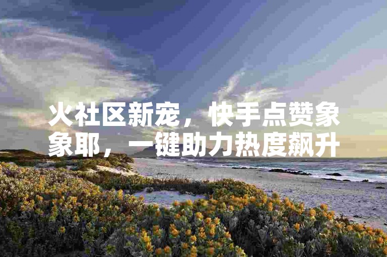 火社区新宠，快手点赞象象耶，一键助力热度飙升！