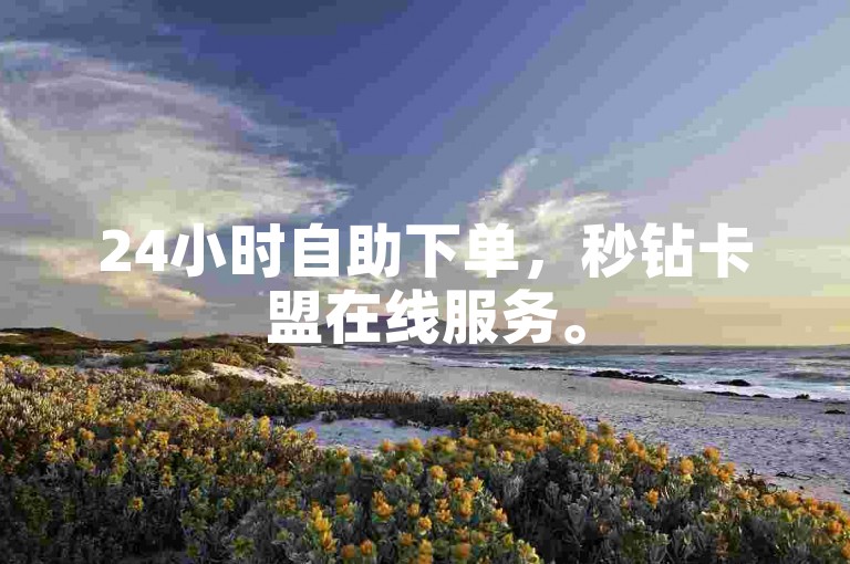 24小时自助下单，秒钻卡盟在线服务。