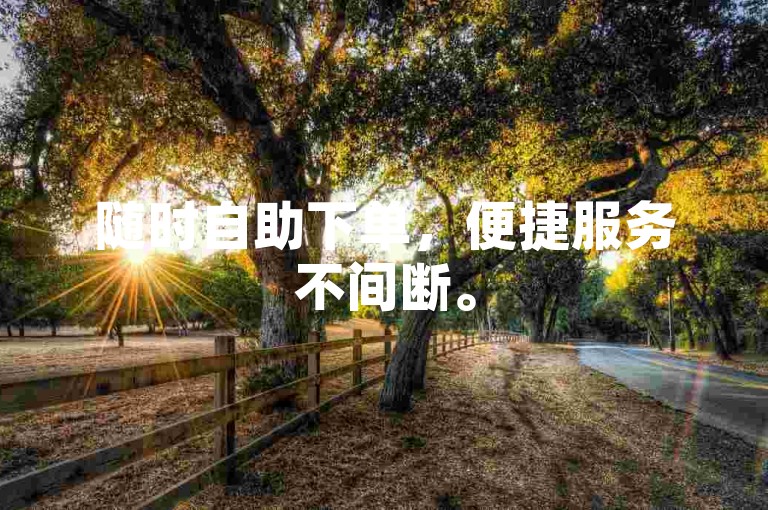 随时自助下单，便捷服务不间断。