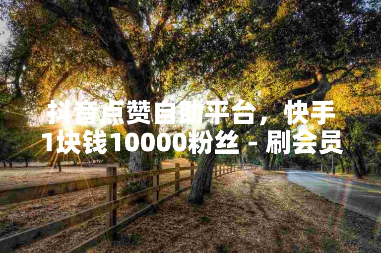 抖音点赞自助平台，快手1块钱10000粉丝 - 刷会员最稳定的卡盟！