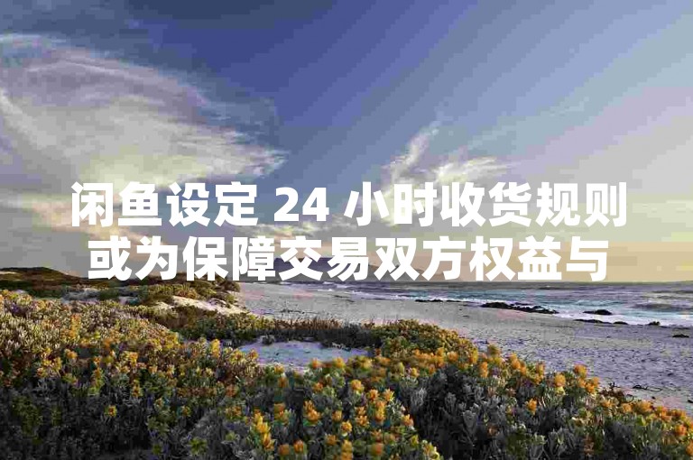 闲鱼设定 24 小时收货规则或为保障交易双方权益与公平。