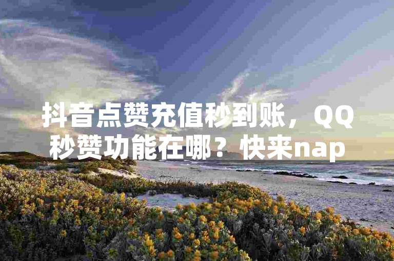 抖音点赞充值秒到账，QQ秒赞功能在哪？快来nap6科技网下单！
