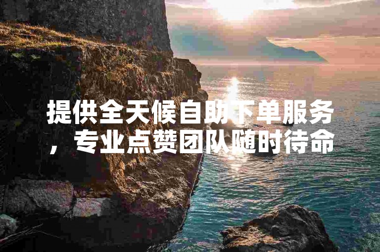 提供全天候自助下单服务，专业点赞团队随时待命。