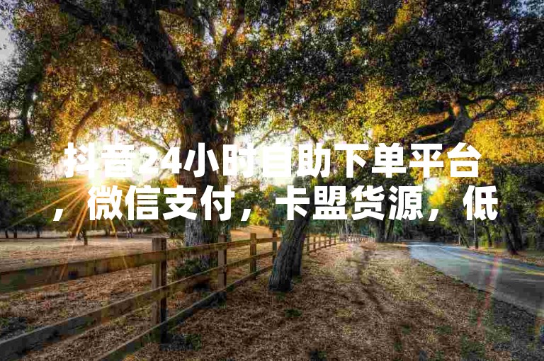 抖音24小时自助下单平台，微信支付，卡盟货源，低价业务。