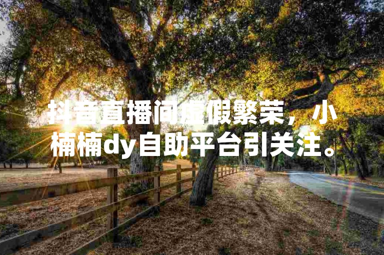 抖音直播间虚假繁荣，小楠楠dy自助平台引关注。