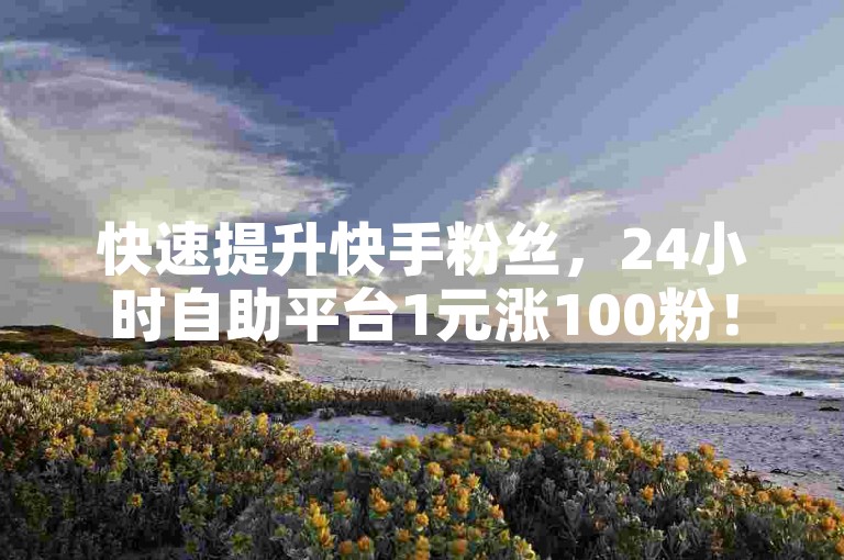 快速提升快手粉丝，24小时自助平台1元涨100粉！
