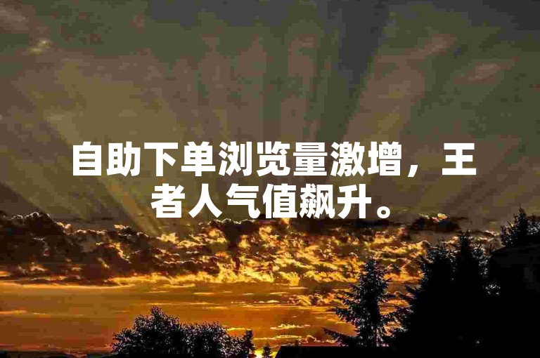 自助下单浏览量激增，王者人气值飙升。