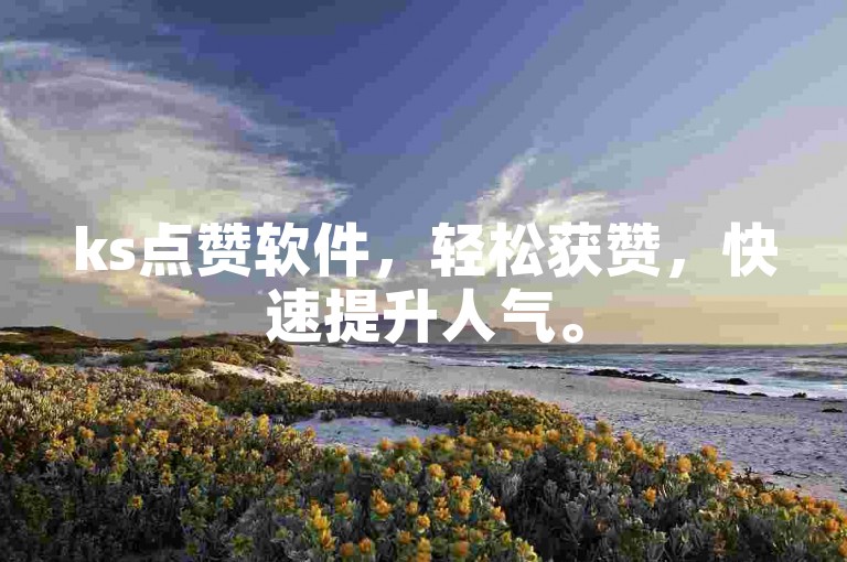 ks点赞软件，轻松获赞，快速提升人气。