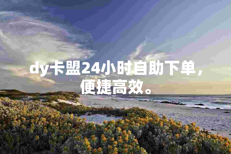 dy卡盟24小时自助下单，便捷高效。