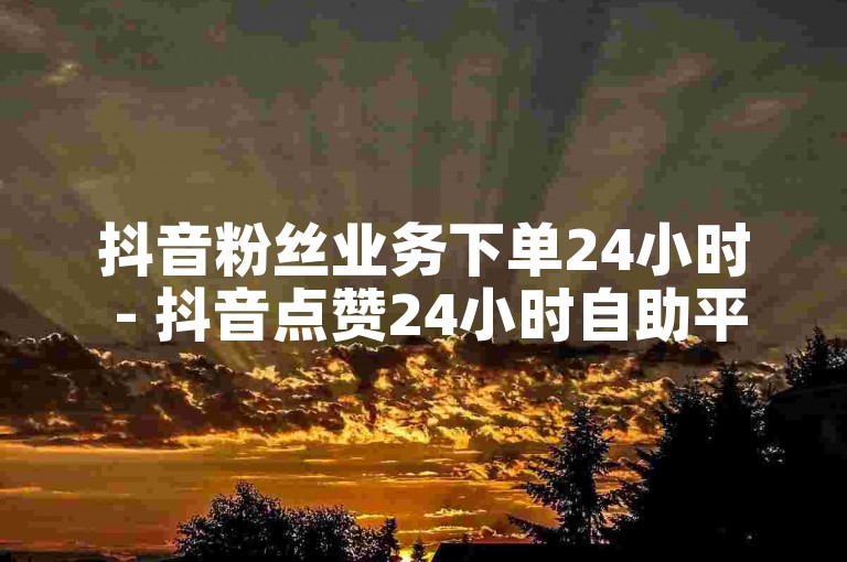 抖音粉丝业务下单24小时 - 抖音点赞24小时自助平台下单