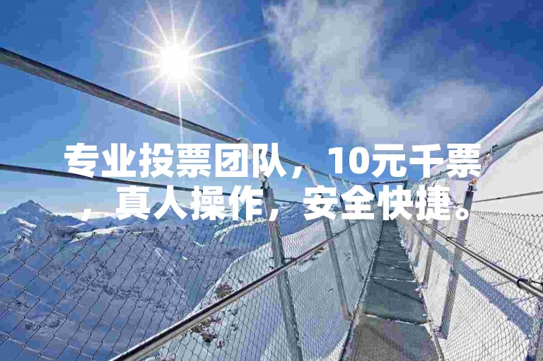 专业投票团队，10元千票，真人操作，安全快捷。
