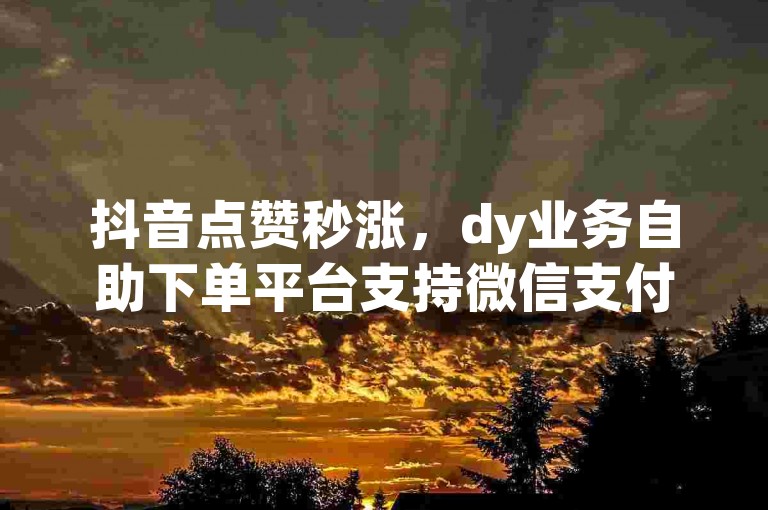 抖音点赞秒涨，dy业务自助下单平台支持微信支付。