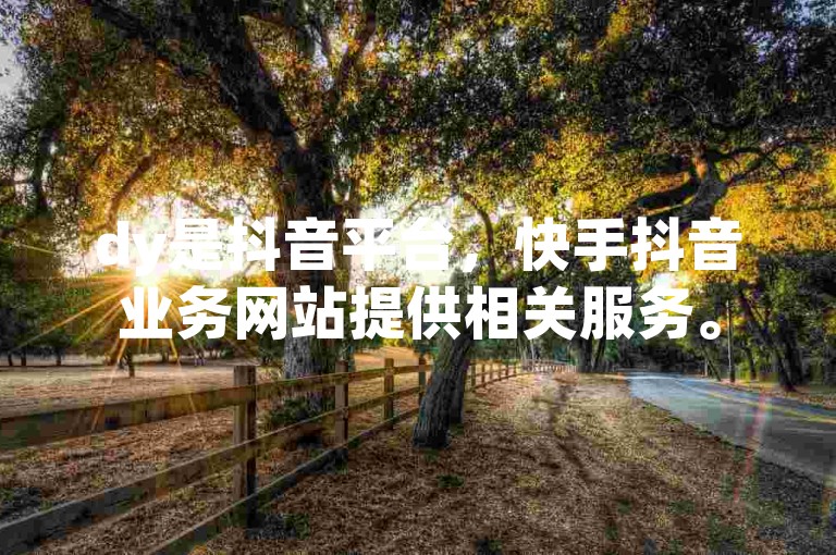 dy是抖音平台，快手抖音业务网站提供相关服务。