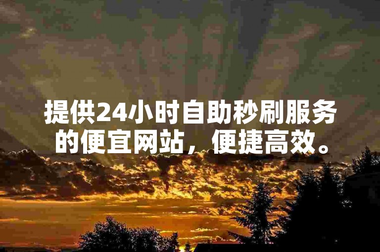 提供24小时自助秒刷服务的便宜网站，便捷高效。