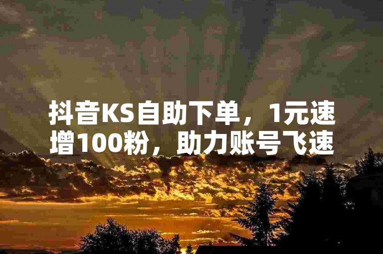 抖音KS自助下单，1元速增100粉，助力账号飞速成长！
