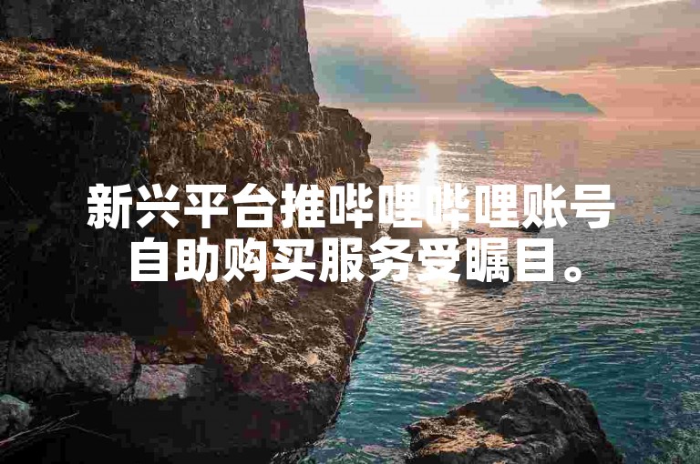 新兴平台推哔哩哔哩账号自助购买服务受瞩目。