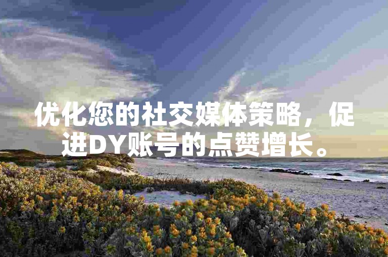 优化您的社交媒体策略，促进DY账号的点赞增长。