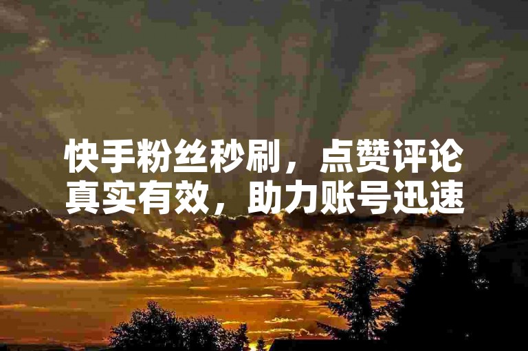 快手粉丝秒刷，点赞评论真实有效，助力账号迅速涨粉。