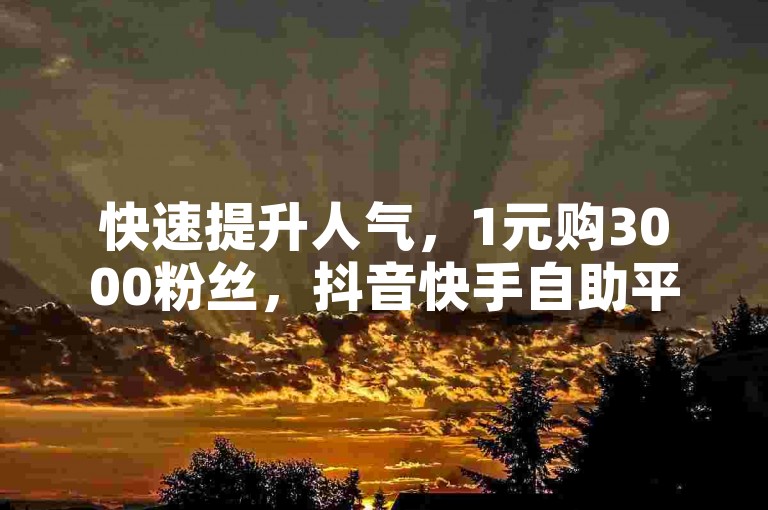快速提升人气，1元购3000粉丝，抖音快手自助平台。