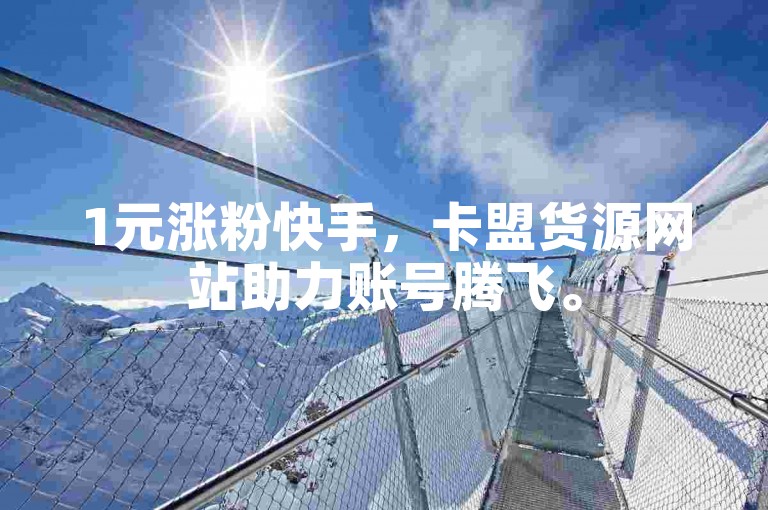 1元涨粉快手，卡盟货源网站助力账号腾飞。