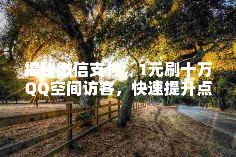 揭秘微信支付，1元刷十万QQ空间访客，快速提升点击率！