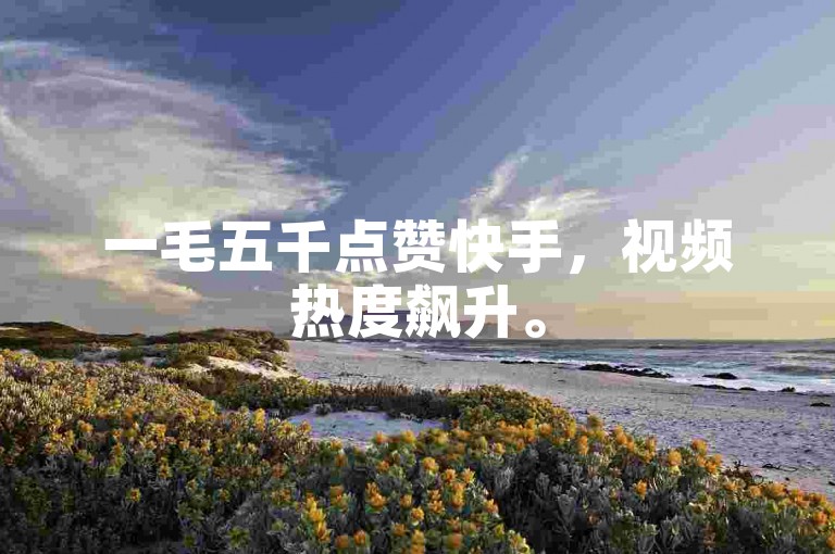 一毛五千点赞快手，视频热度飙升。