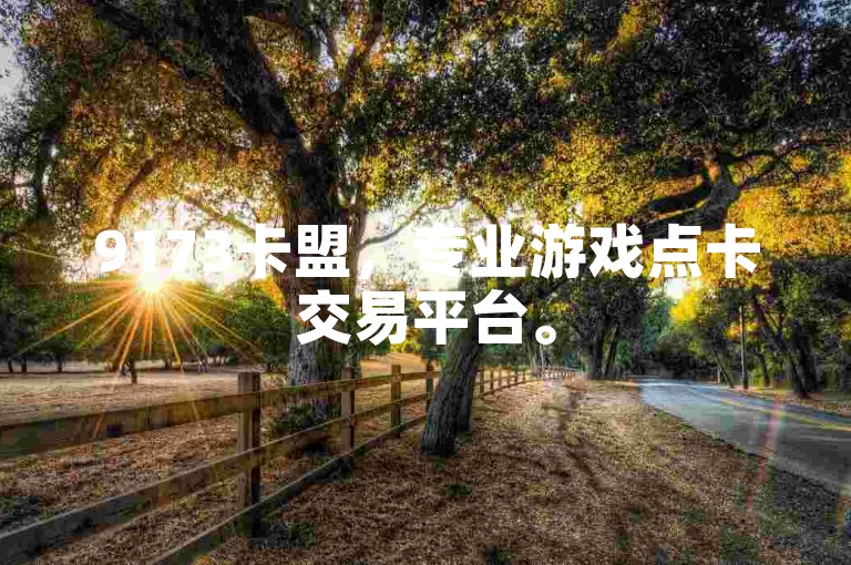 9173卡盟，专业游戏点卡交易平台。