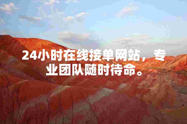 24小时在线接单网站，专业团队随时待命。