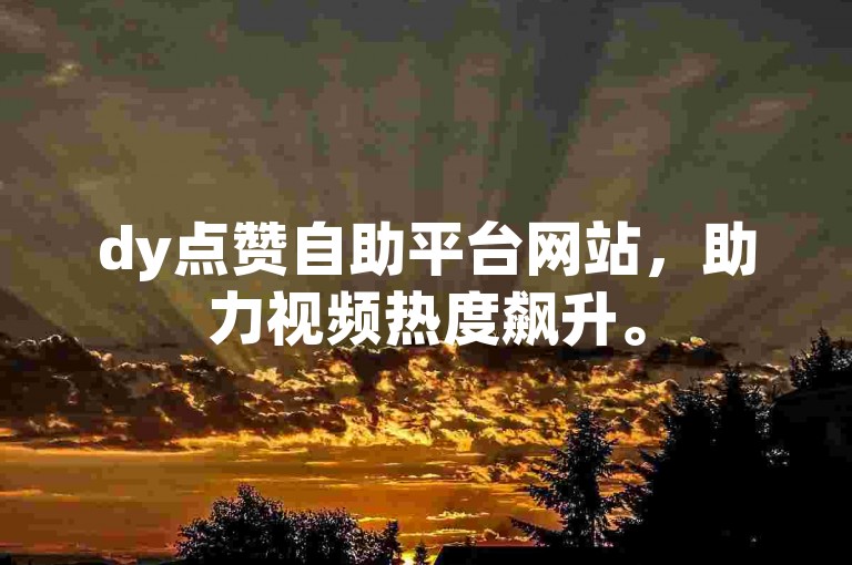 dy点赞自助平台网站，助力视频热度飙升。