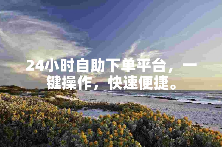 24小时自助下单平台，一键操作，快速便捷。