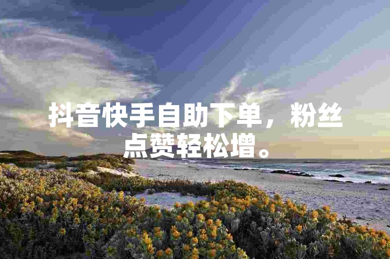 抖音快手自助下单，粉丝点赞轻松增。
