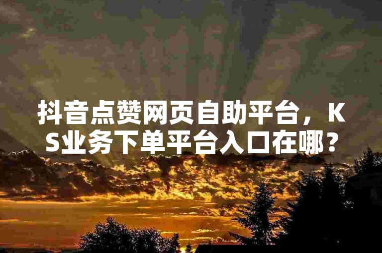 抖音点赞网页自助平台，KS业务下单平台入口在哪？